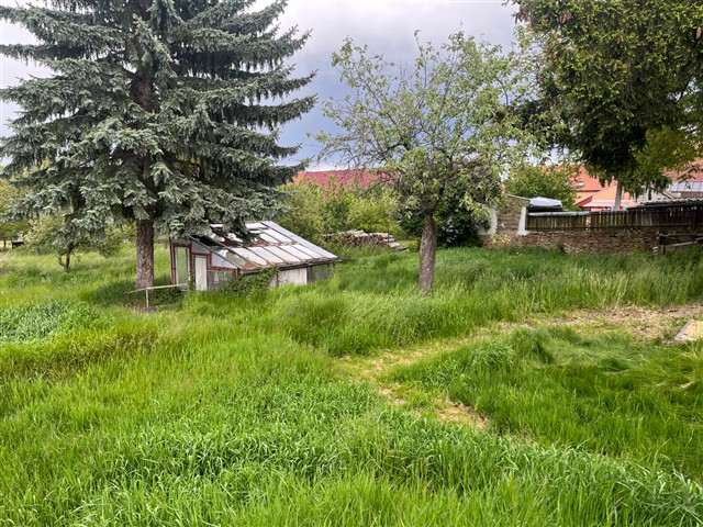 foto 28 [28/30]