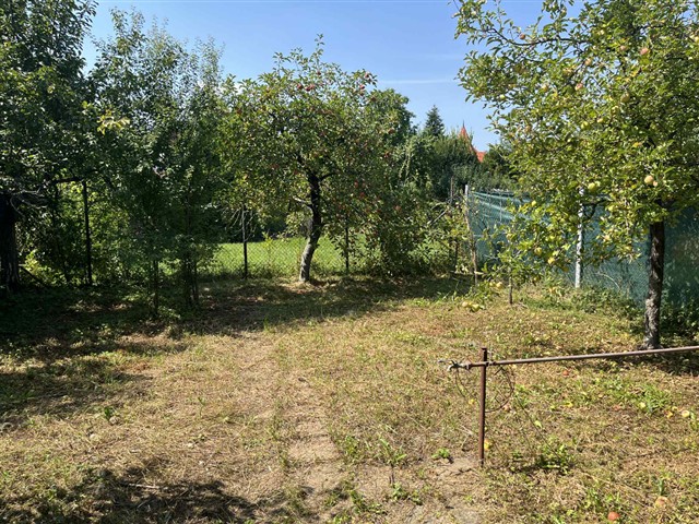 foto 14 [3/16]
