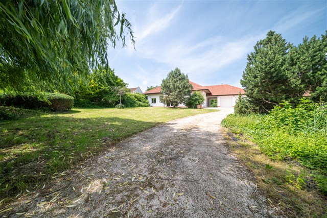 příjezd k domu [10/56]